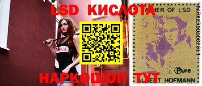 шишки Будённовск