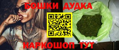 шишки Будённовск