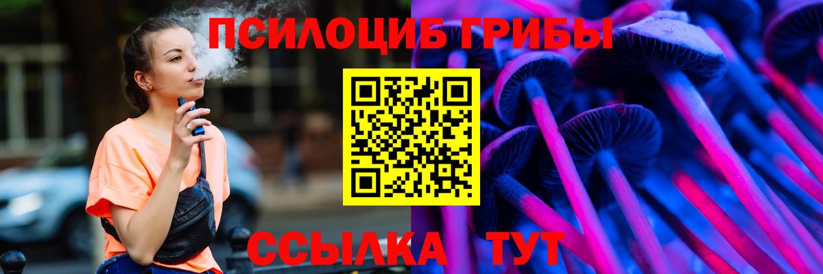 Псилоцибиновые грибы Psilocybe  Вход с VPN  Рыбинск 